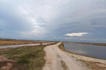 Felcra Changkat Lada, Seberang Perak, 3 Ekar Tanah Sawit, 3 Ekar Tanah Sawah & 1 banglo Lot Untuk Dijual
