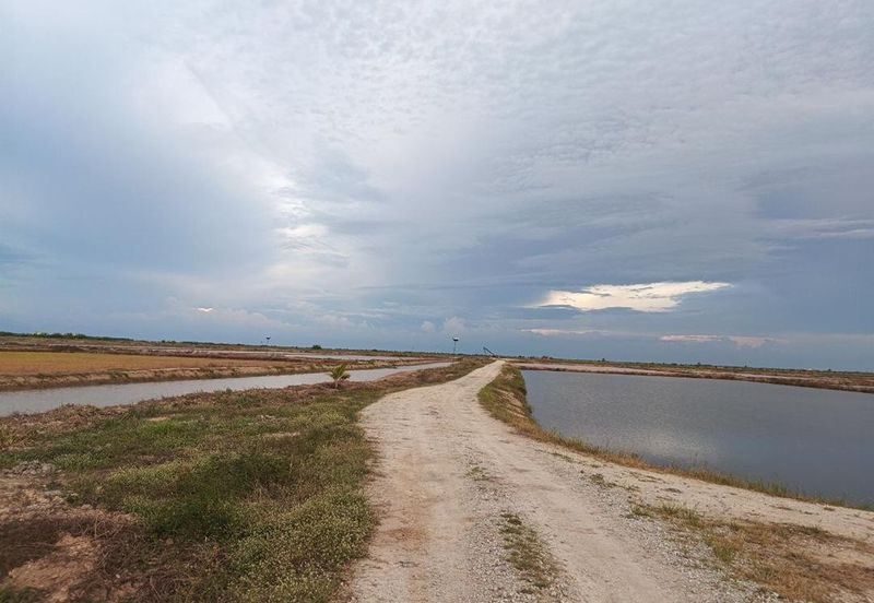 Felcra Changkat Lada, Seberang Perak, 3 Ekar Tanah Sawit, 3 Ekar Tanah Sawah & 1 banglo Lot Untuk Dijual