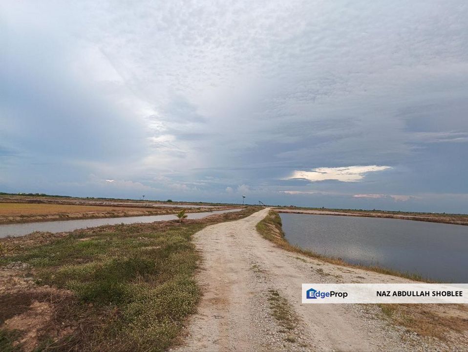 Felcra Changkat Lada, Seberang Perak, 3 Ekar Tanah Sawit, 3 Ekar Tanah Sawah & 1 banglo Lot Untuk Dijual, Perak, Kampong Gajah