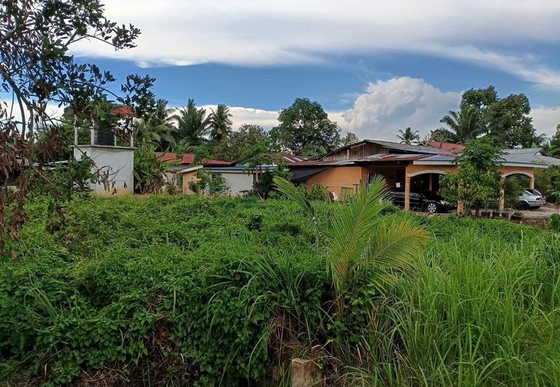 Felcra Changkat Lada, Seberang Perak, 3 Ekar Tanah Sawit, 3 Ekar Tanah Sawah & 1 banglo Lot Untuk Dijual