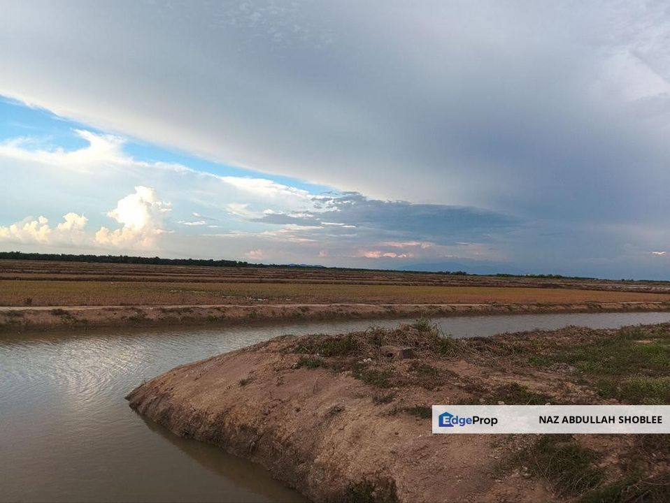 Felcra Changkat Lada, Seberang Perak, 3 Ekar Tanah Sawit, 3 Ekar Tanah Sawah & 1 banglo Lot Untuk Dijual, Perak, Kampong Gajah