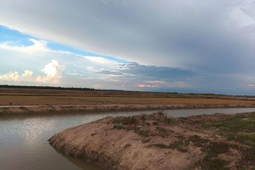 Felcra Changkat Lada, Seberang Perak, 3 Ekar Tanah Sawit, 3 Ekar Tanah Sawah & 1 banglo Lot Untuk Dijual
