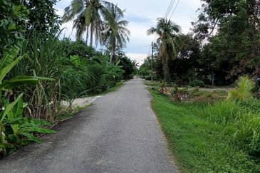 Felcra Changkat Lada, Seberang Perak, 3 Ekar Tanah Sawit, 3 Ekar Tanah Sawah & 1 banglo Lot Untuk Dijual