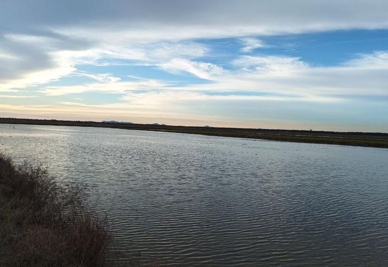 Felcra Changkat Lada, Seberang Perak, 3 Ekar Tanah Sawit, 3 Ekar Tanah Sawah & 1 banglo Lot Untuk Dijual
