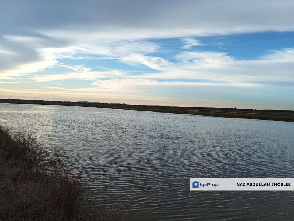 Felcra Changkat Lada, Seberang Perak, 3 Ekar Tanah Sawit, 3 Ekar Tanah Sawah & 1 banglo Lot Untuk Dijual, Perak, Kampong Gajah