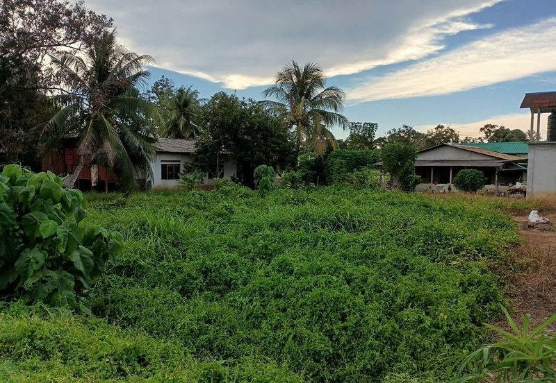 Felcra Changkat Lada, Seberang Perak, 3 Ekar Tanah Sawit, 3 Ekar Tanah Sawah & 1 banglo Lot Untuk Dijual