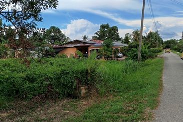Felcra Changkat Lada, Seberang Perak, 3 Ekar Tanah Sawit, 3 Ekar Tanah Sawah & 1 banglo Lot Untuk Dijual