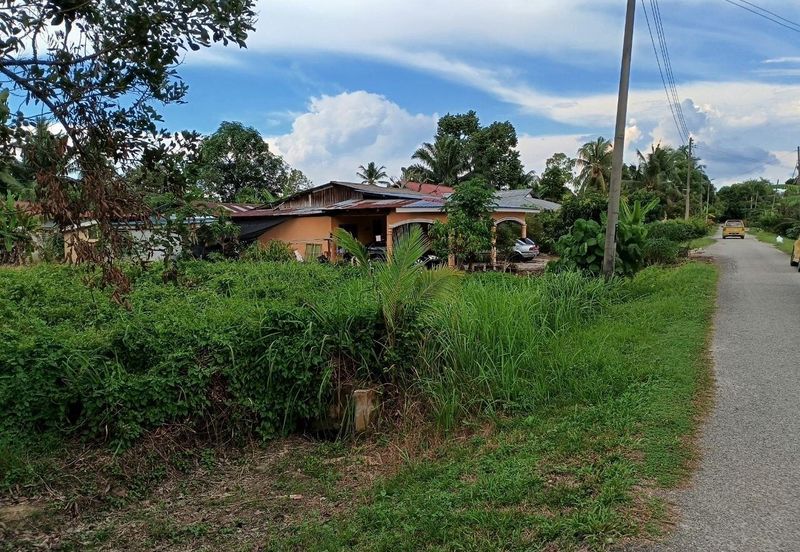 Felcra Changkat Lada, Seberang Perak, 3 Ekar Tanah Sawit, 3 Ekar Tanah Sawah & 1 banglo Lot Untuk Dijual
