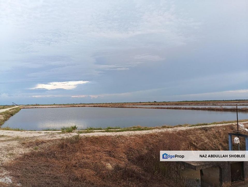 Felcra Changkat Lada, Seberang Perak, 3 Ekar Tanah Sawit, 3 Ekar Tanah Sawah & 1 banglo Lot Untuk Dijual, Perak, Kampong Gajah