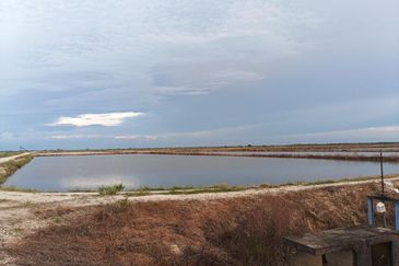 Felcra Changkat Lada, Seberang Perak, 3 Ekar Tanah Sawit, 3 Ekar Tanah Sawah & 1 banglo Lot Untuk Dijual