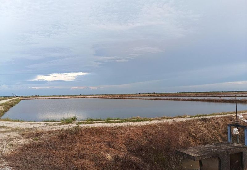 Felcra Changkat Lada, Seberang Perak, 3 Ekar Tanah Sawit, 3 Ekar Tanah Sawah & 1 banglo Lot Untuk Dijual