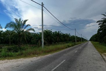 Felcra Changkat Lada, Seberang Perak, 3 Ekar Tanah Sawit, 3 Ekar Tanah Sawah & 1 banglo Lot Untuk Dijual