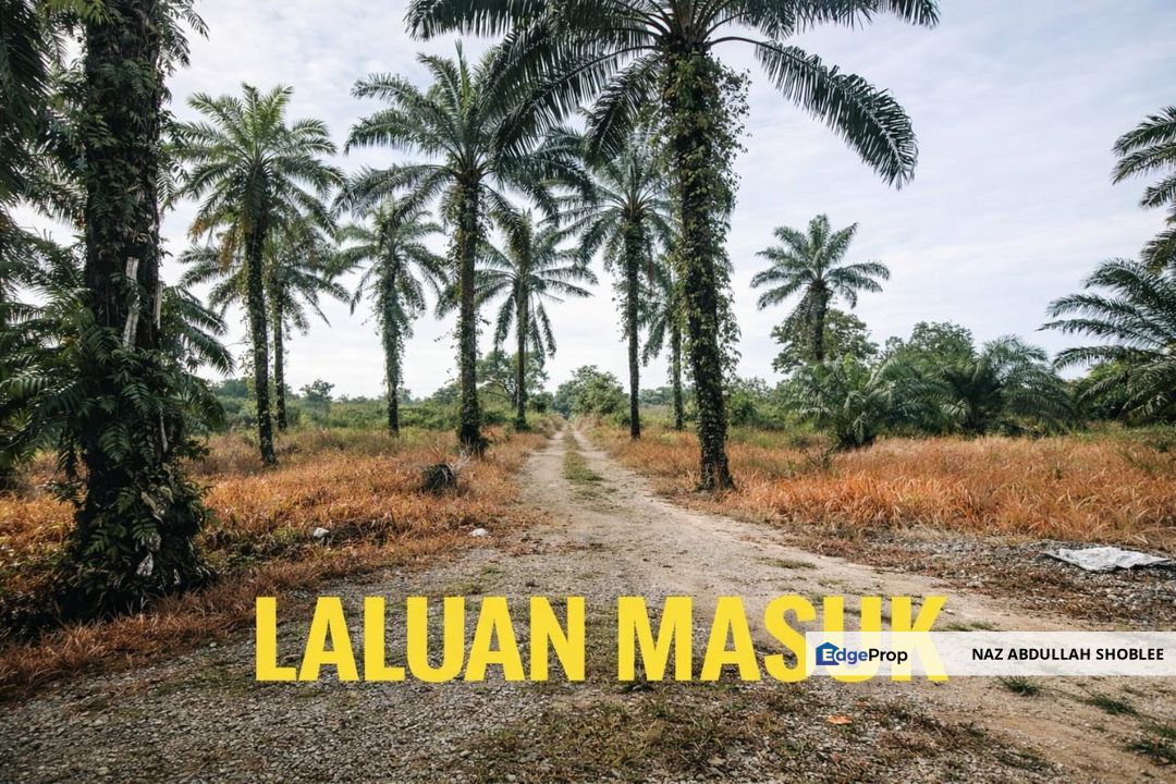 Pontian, Johor Palm Oil Land (NEAR MAINROAD), Johor, Pontian