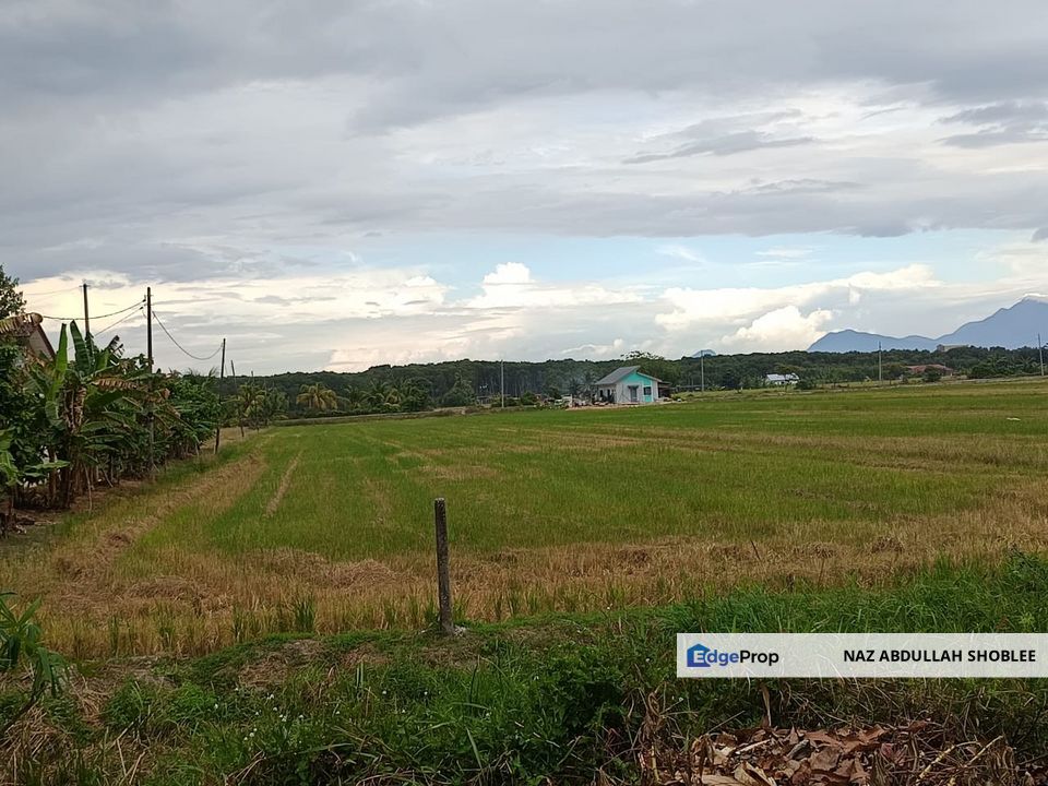 Kampung Parit Pengulu, Sungai Rambai, Agriculture Land 2.08 acre Freehold, Melaka, Sungai Rambai