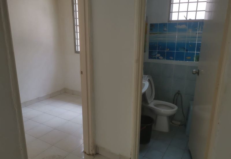 C H E A P Semi D Bdr Sg Long