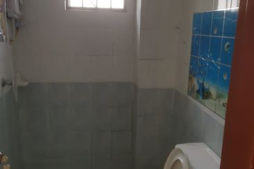 C H E A P Semi D Bdr Sg Long