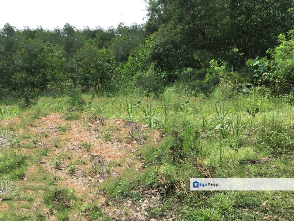 C H E A P Bungalow Land at Taman Equine, Selangor, Seri Kembangan