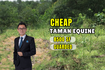 Taman Equine