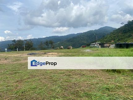 CHEAP Agriculture Land Hilltop At Broga Hill Semenyih For Sale , Selangor, Semenyih