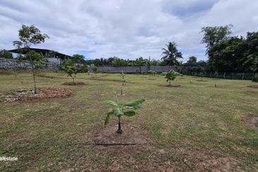 Jalan Besar, Nilai-Pajam