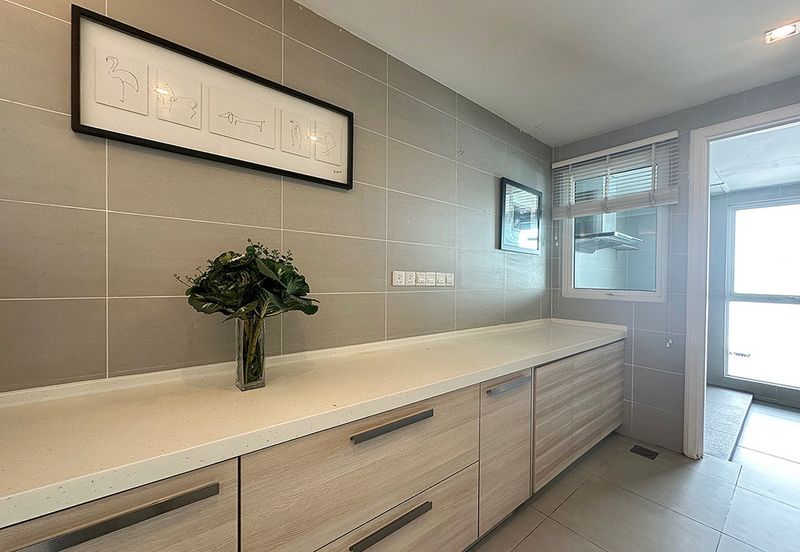 Modern elegent id renovated ex showroom corner semi-d with lift