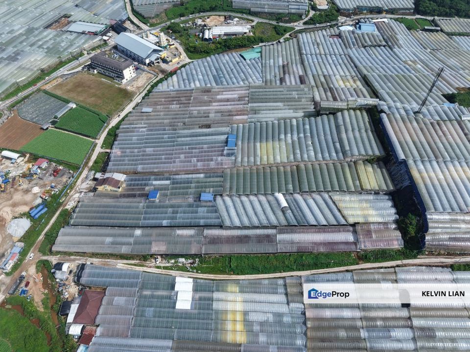 1.55 Acres Farm Land with Greenhouse , Pahang, Cameron Highlands