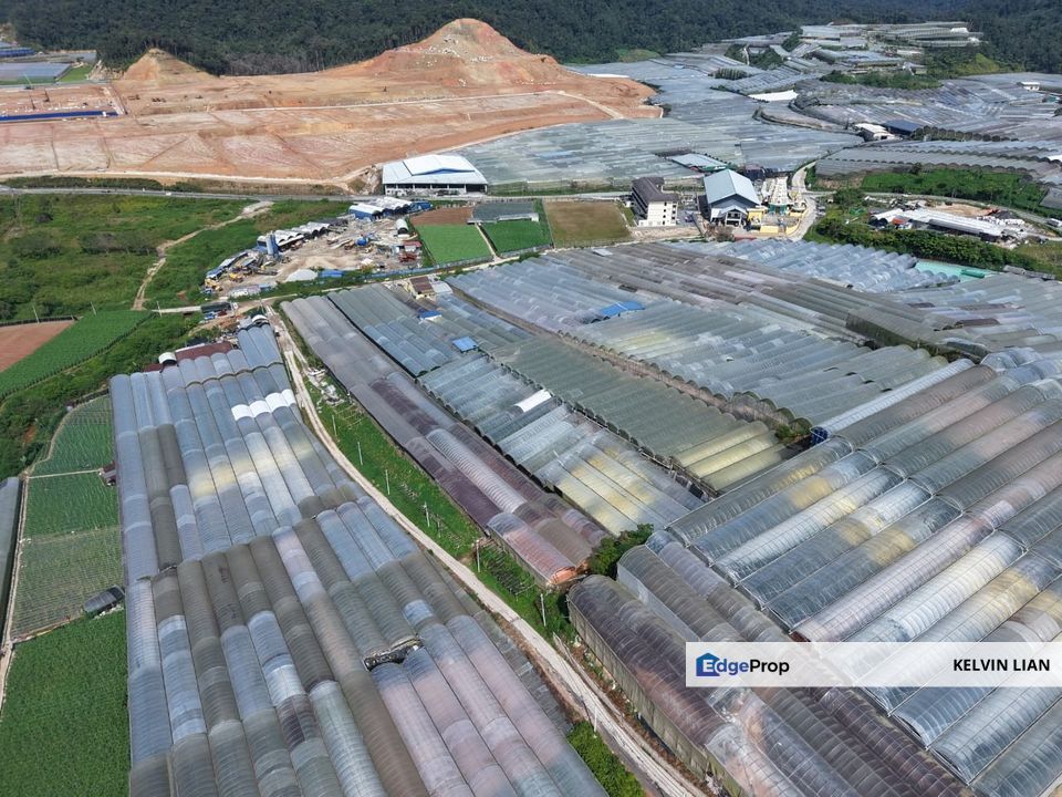 1.55 Acres Farm Land with Greenhouse , Pahang, Cameron Highlands