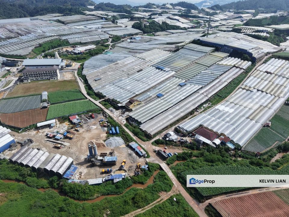 1.55 Acres Farm Land with Greenhouse , Pahang, Cameron Highlands
