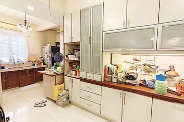 Anggerik Doritis @ Kota Kemuning