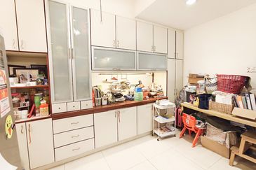 Anggerik Doritis @ Kota Kemuning