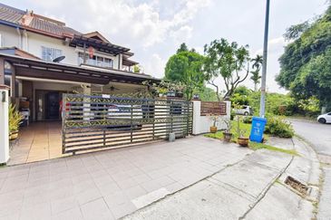 Anggerik Doritis @ Kota Kemuning