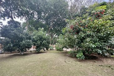 Seksyen 11, Shah Alam