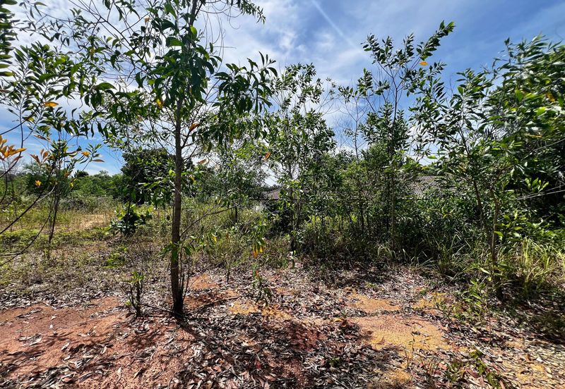 Bandar Tasik Senangin