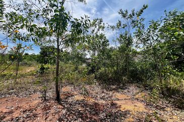 Bandar Tasik Senangin