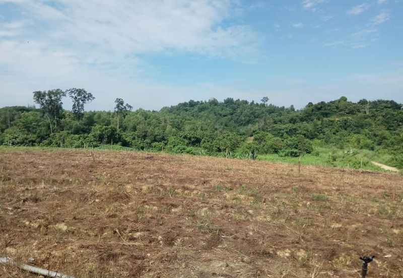 Bandar Country Homes