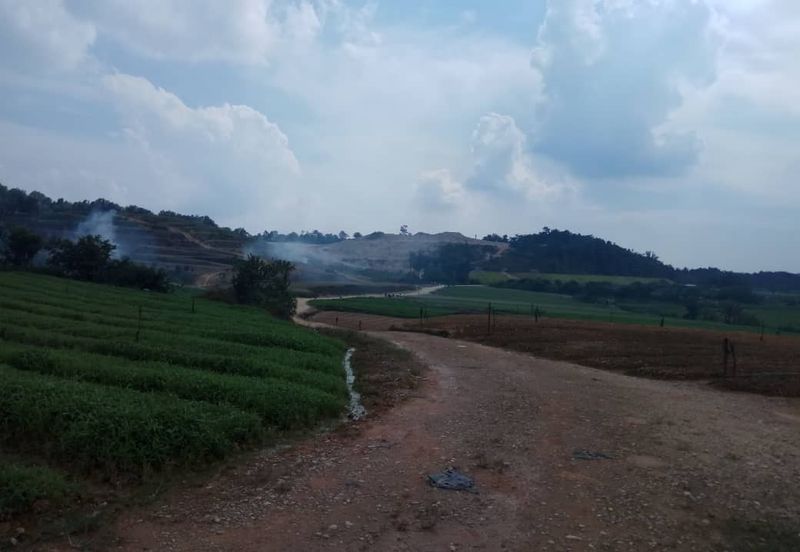 Bandar Country Homes