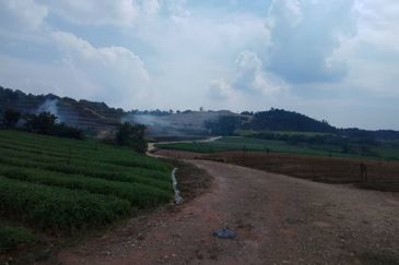 Bandar Country Homes