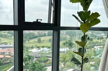 Dianthus @ Tropicana Gardens