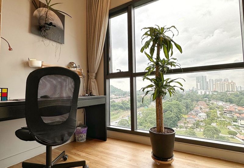 Dianthus @ Tropicana Gardens