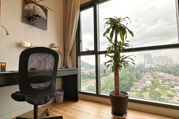 Dianthus @ Tropicana Gardens