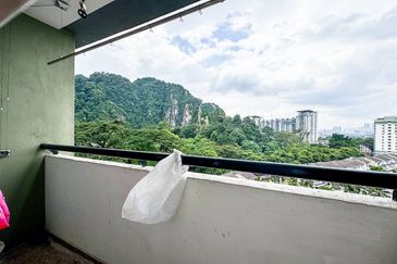 Penaga @ Taman Raintree