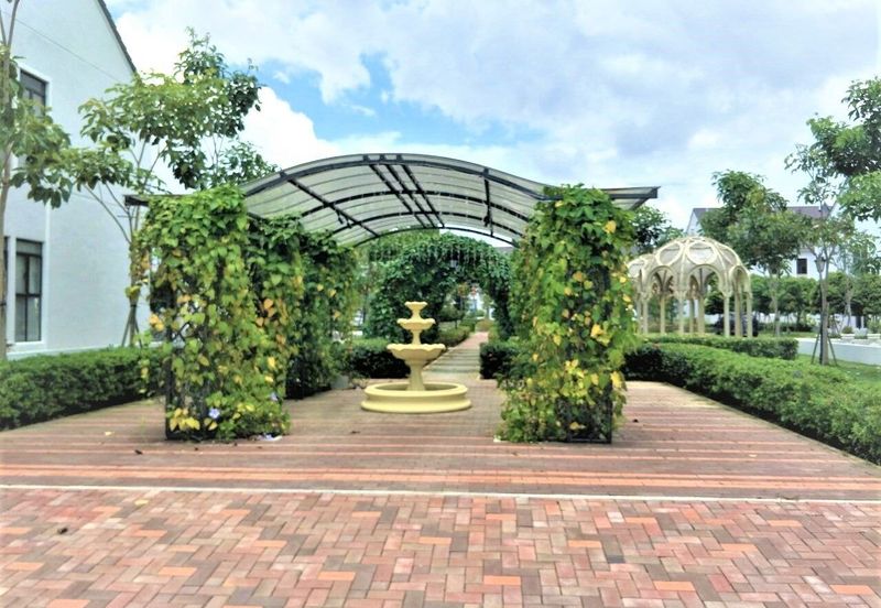 Monet Lily @ Sunsuria City