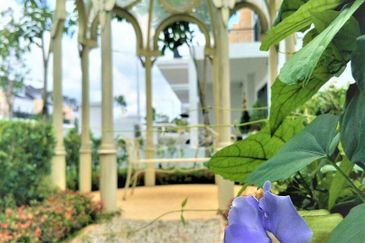 Monet Lily @ Sunsuria City