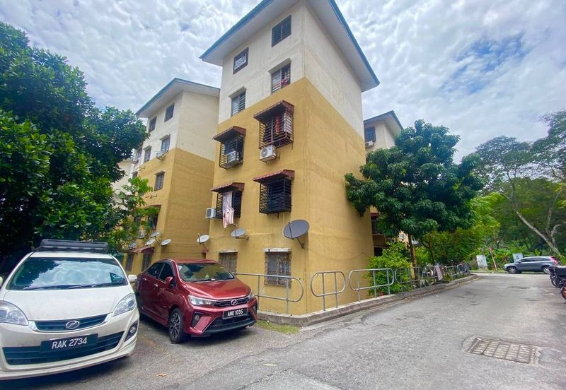 Sri Meranti, Bandar Sri Damansara