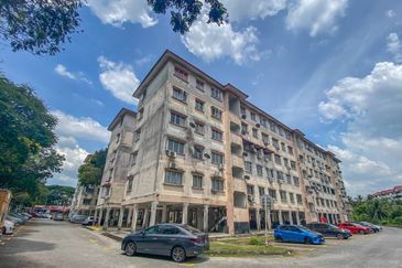 Gugusan Teratai, Seksyen 6 Kota Damansara