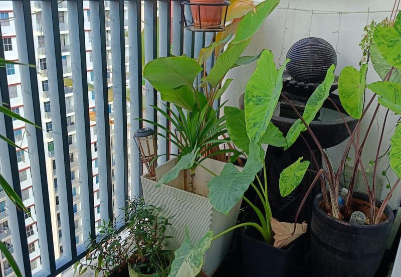 PR1MA Lakefront Homes