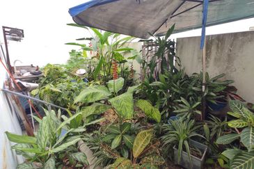 Barrus @ Setia Ecohill 2