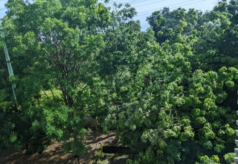 Ara Hill Condominium