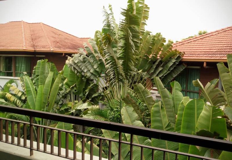 Ara Hill Condominium