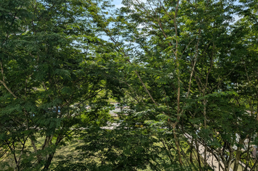 Amaya Saujana, Saujana Subang